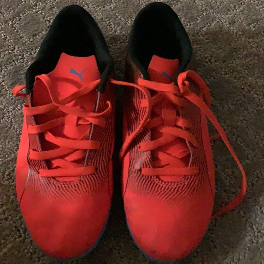 Pumas